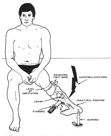 مغز شگفت‌انگیز؛ حقایقی از حیاتی‌ترین عضو بدن که نمی‌دانید!