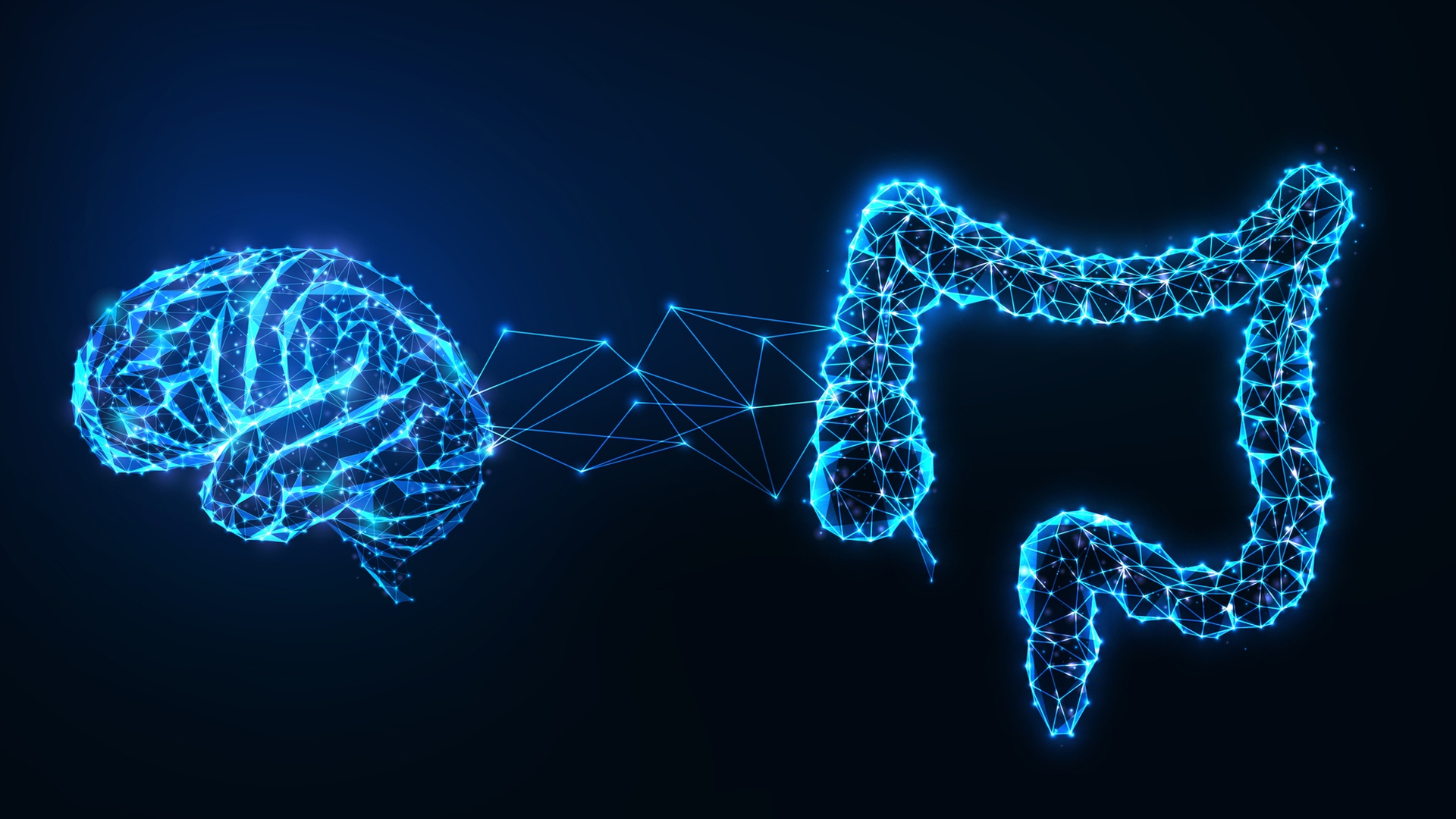 حقایقی در مورد مغز که نمی‌دانید!