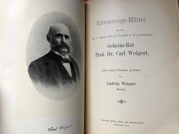 14 مرداد در دنیای علم چه خبر؟ 14 مرداد در دنیای علم چه خبر؟
