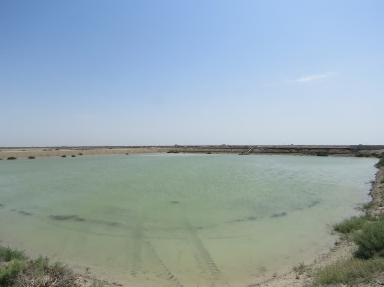 راه‌اندازی سایت پرورش میگو با هدف افزایش تولید و درآمد غیر‌شهریه‌ای