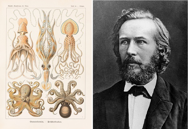 19 مرداد در دنیای علم چه خبر؟ 19 مرداد در دنیای علم چه خبر؟