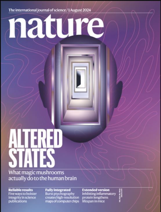 هفته اول اوت؛ از «تاثیر استعمار بر دنیای علم» تا «قارچ‌هایی با خواص دارویی»