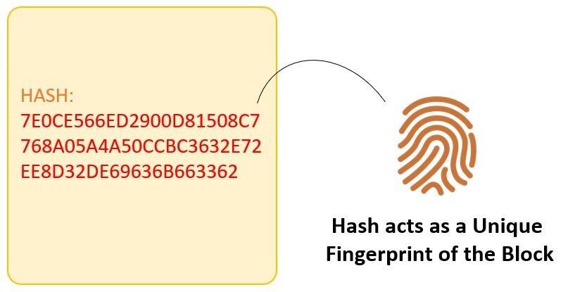 ۱۱ حقیقت درباره « بلاک‌چین»/ اولین بار بیت‌کوین برای خرید پیتزا استفاده شد!