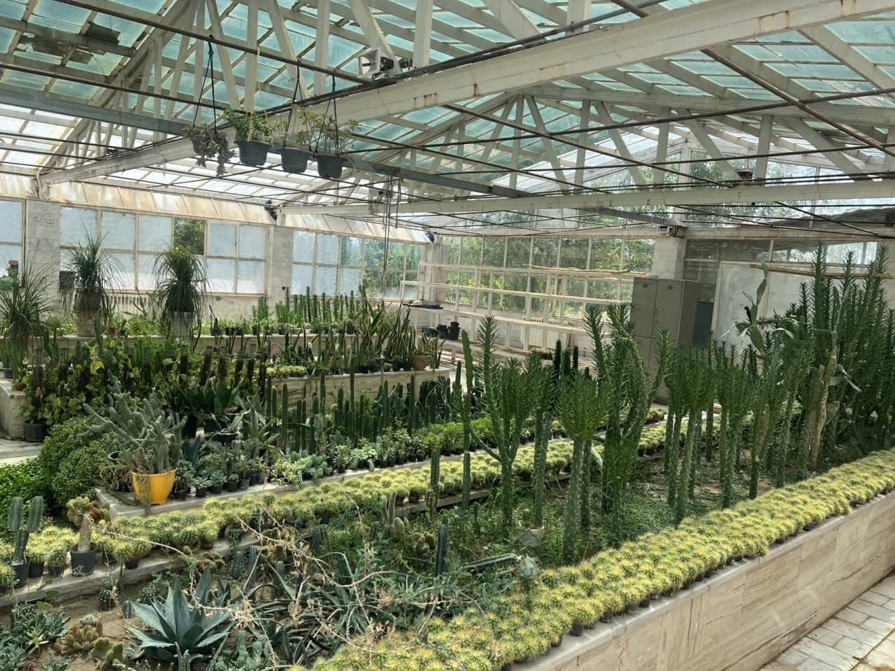 جلوگیری از سرمازدگی درختان میوه با تولید دستگاه مهپاش جلوگیری از سرمازدگی درختان میوه با تولید دستگاه مهپاش