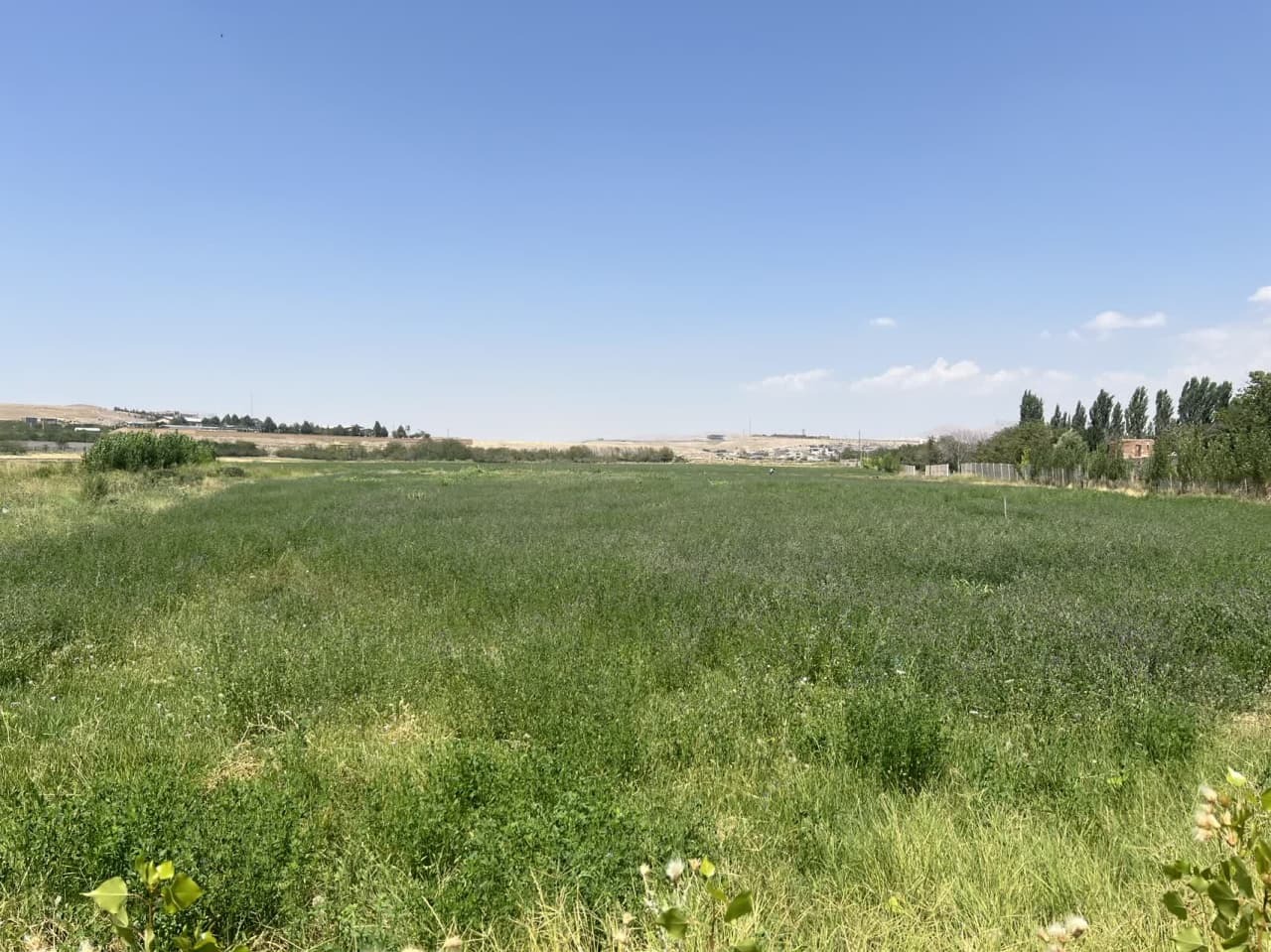 جلوگیری از سرمازدگی درختان میوه با تولید دستگاه مهپاش جلوگیری از سرمازدگی درختان میوه با تولید دستگاه مهپاش