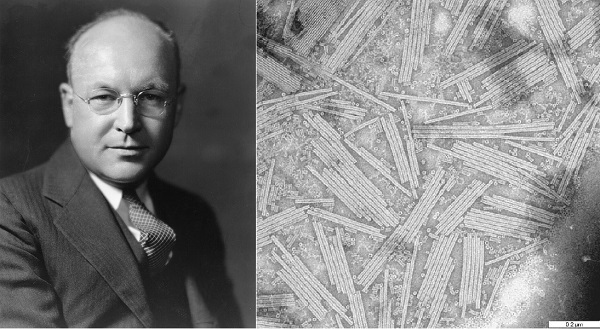 ۲۶ مرداد در دنیای علم چه خبر؟ ۲۶ مرداد در دنیای علم چه خبر؟