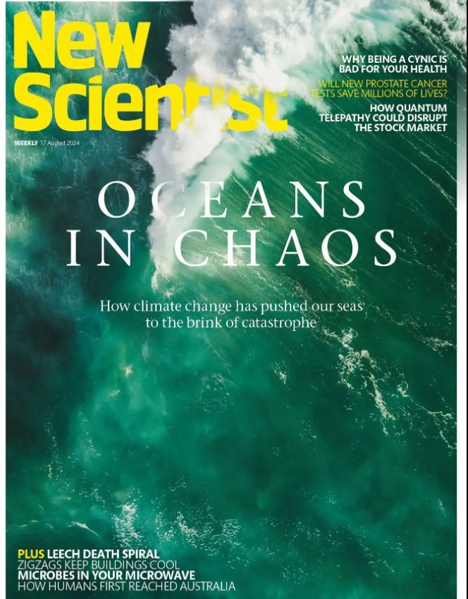 هفته دوم اوت؛ از «گرمای بیسابقه اقیانوسها» تا «راز سنگهای استونهنج» هفته دوم اوت؛ از «گرمای بیسابقه اقیانوسها» تا «راز سنگهای استونهنج»