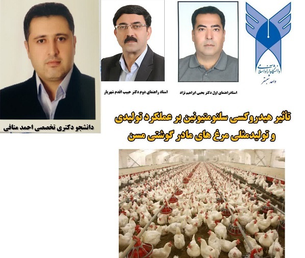 بررسی تأثیر هیدروکسی سلنومتیونین بر عملکرد تولیدمثل مرغهای مادر گوشتی مسن بررسی تأثیر هیدروکسی سلنومتیونین بر عملکرد تولیدمثل مرغهای مادر گوشتی مسن