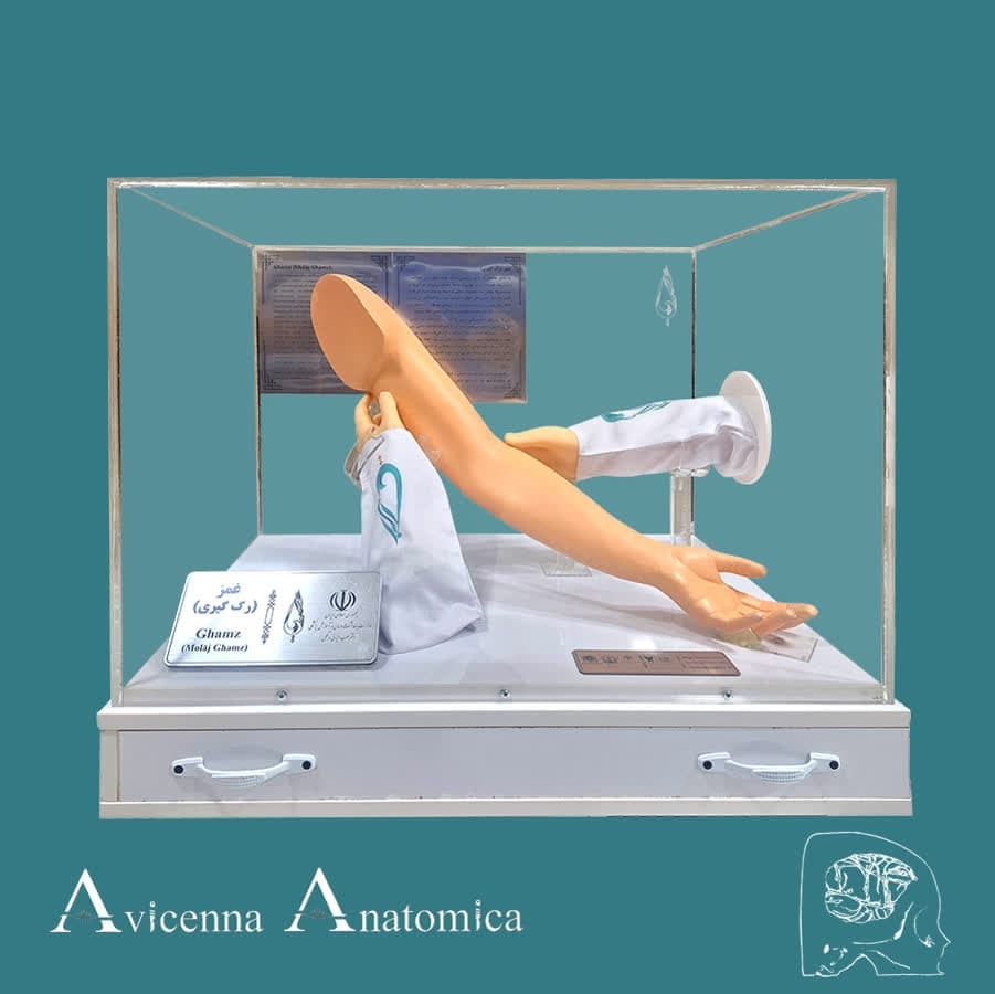 تسهیل انتقال مفاهیم پزشکی با ساخت مولاژ‌های اختصاصی