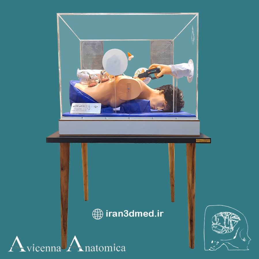 تسهیل انتقال مفاهیم پزشکی با ساخت مولاژ‌های اختصاصی