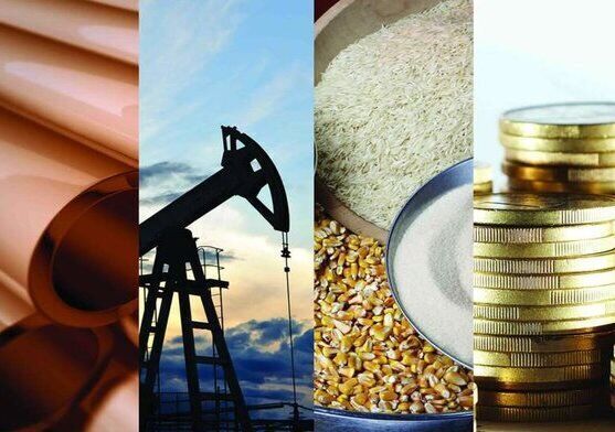 بورس کالا را بهتر بشناسید بورس کالا