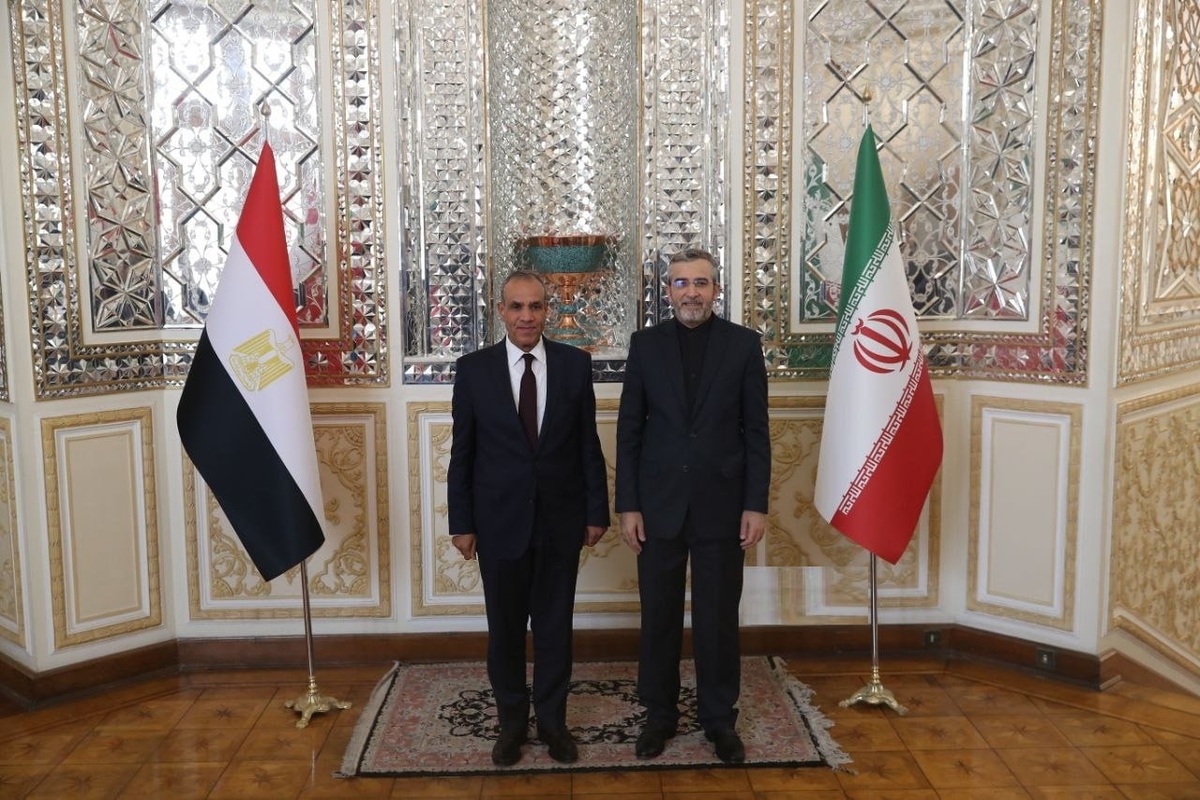 وزیر خارجه مصر با علی باقری دیدار و گفت‌وگو کرد