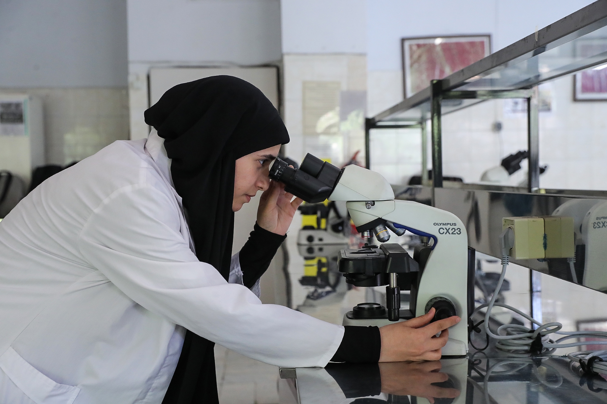 پیشرفت فناوری در ایران حرف اول را در منطقه میزند پیشرفت فناوری در ایران حرف اول را در منطقه میزند