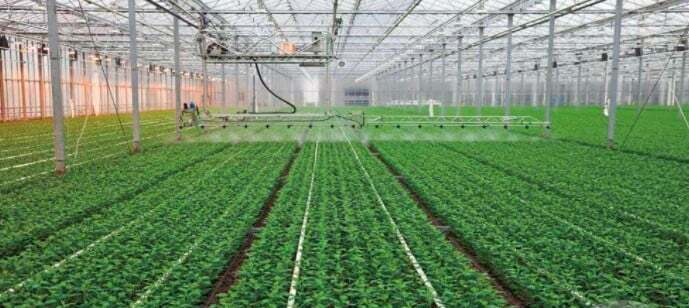 انتقال دانش کشاورزی انتقال دانش کشاورزی