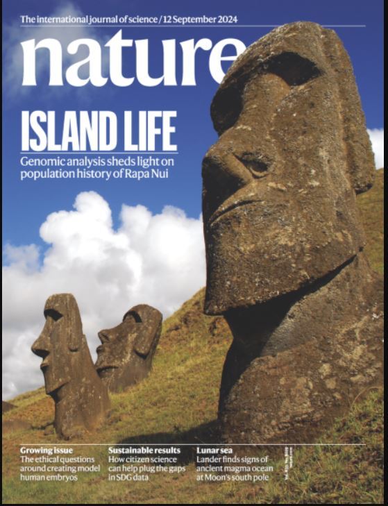 از رازهای جزیره ایستر تا مسیر جدید درمان OCD