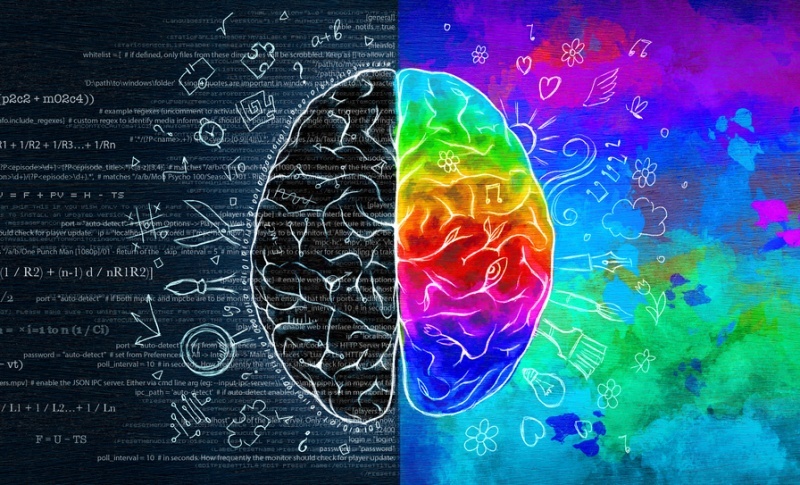 هنگام شعرخوانی چه در مغز انسان میگذرد؟ هنگام شعرخوانی چه در مغز انسان میگذرد؟