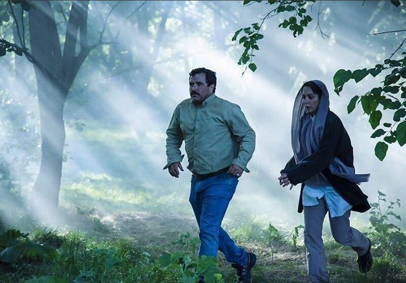 آغوش درخت اجتماعی////////