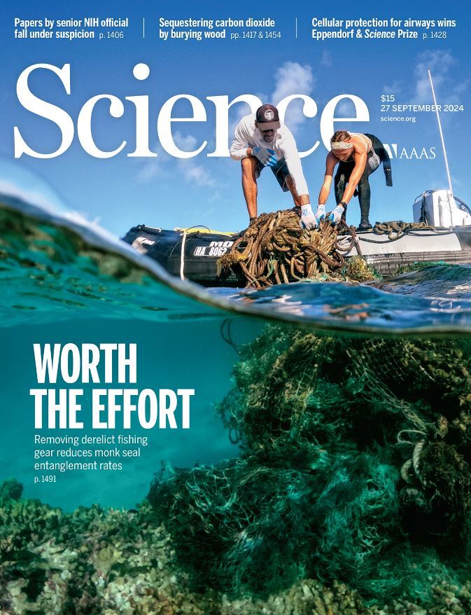 هفته اول اکتبر/ از «میکروبهای مغز» تا «زنبورهای انگل در لباس مگس» از میکروبهای مغز تا زنبورهای انگل در لباس مگس هفته اول اکتبر/ از «میکروبهای مغز» تا «زنبورهای انگل در لباس مگس» از میکروبهای مغز تا زنبورهای انگل در لباس مگس