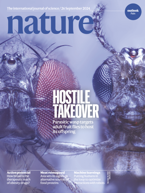 هفته اول اکتبر/ از «میکروبهای مغز» تا «زنبورهای انگل در لباس مگس» از میکروبهای مغز تا زنبورهای انگل در لباس مگس هفته اول اکتبر/ از «میکروبهای مغز» تا «زنبورهای انگل در لباس مگس» از میکروبهای مغز تا زنبورهای انگل در لباس مگس