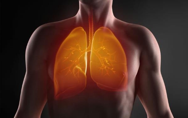 ریه چپ شما از راست شما کوچکتر است! ریه چپ شما از راست شما کوچکتر است!