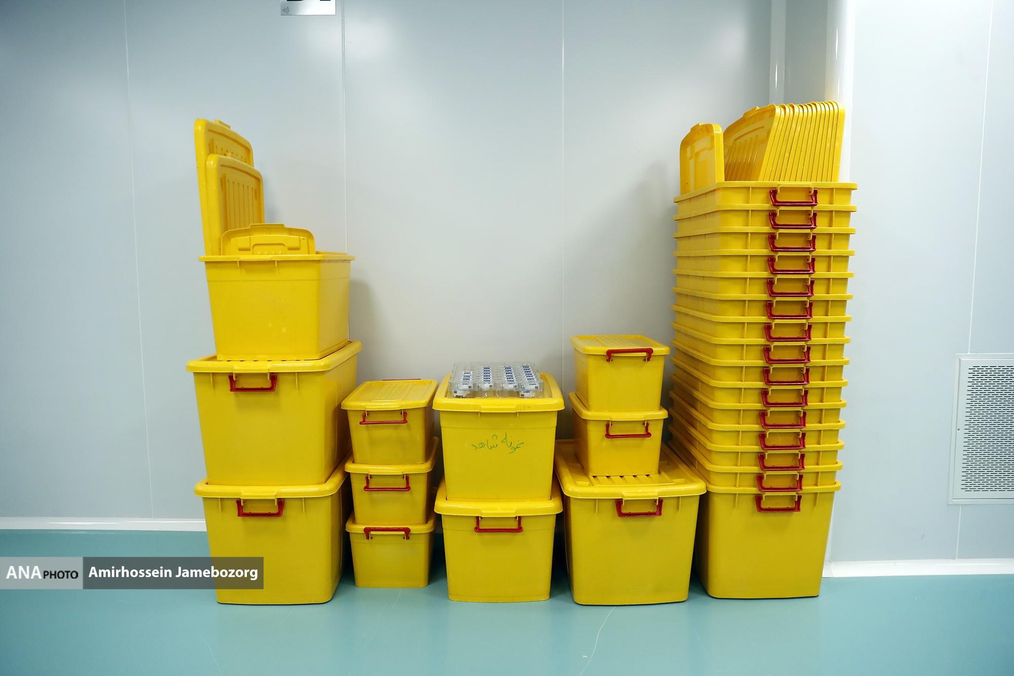 حضور پررنگ دانشبنیانها در موقوفات؛ از تولیدات پزشکی تا کاتالیزورهایی که از آلودگی میکاهند حضور پررنگ دانشبنیانها در موقوفات؛ از تولیدات پزشکی تا کاتالیزورهایی که از آلودگی میکاهند