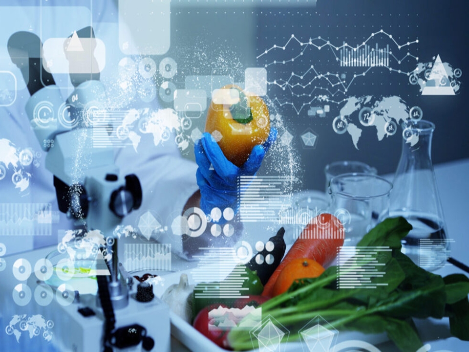 برندسازی حلال برندسازی حلال