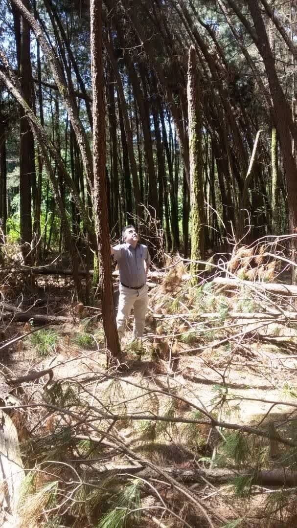 3 عامل مؤثر در ارتباط دانشگاه و صنعت/ کشور در حوزه منابع طبیعی نیازمند محقق است 3 عامل مؤثر در ارتباط دانشگاه و صنعت/ کشور در حوزه منابع طبیعی نیازمند محقق است
