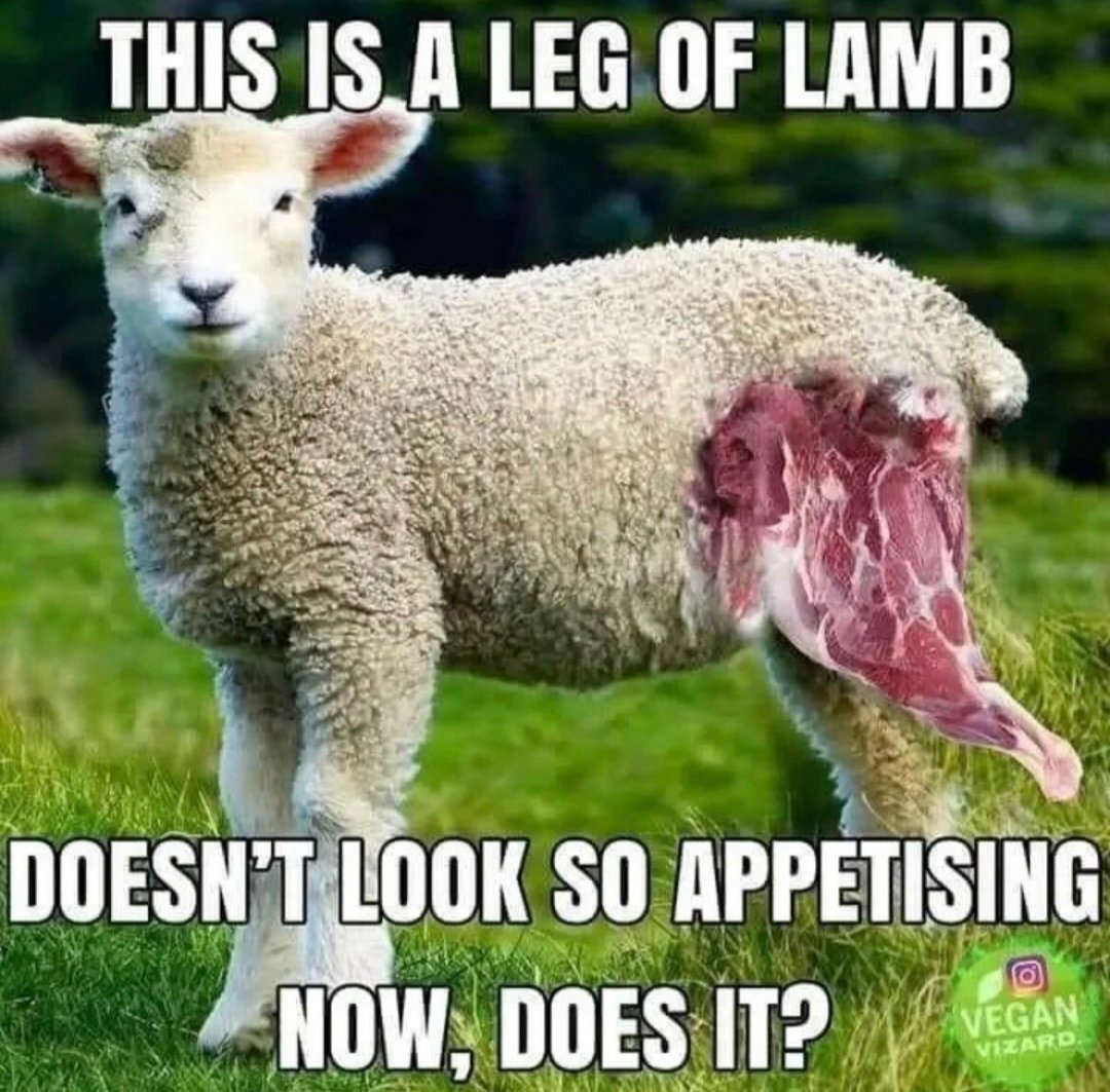 همه حیوانات برابرند، اما برخی برابرترند!/ آیا گیاه‌خواری واقعاً از کشتن حیوانات جلوگیری می‌کنند؟