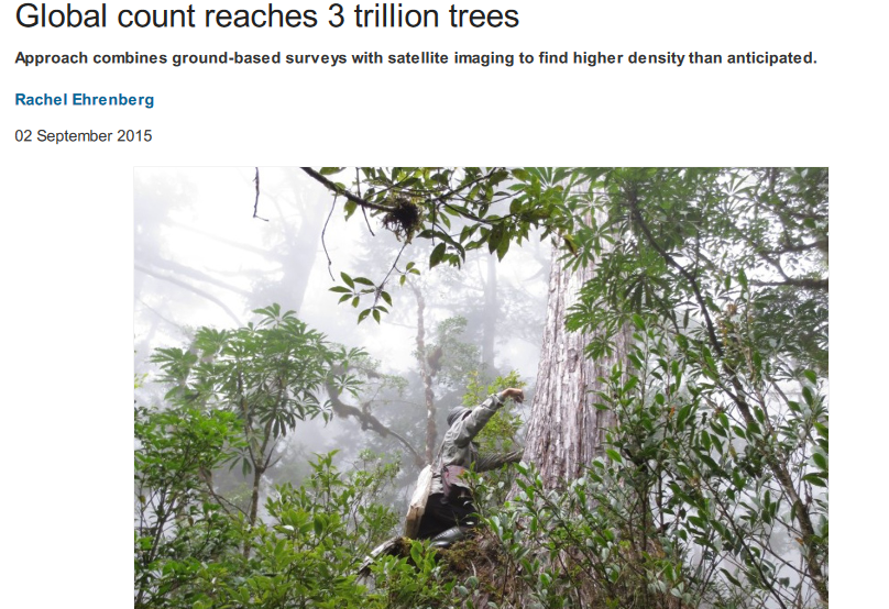 تعداد درختان زمین از ستارگان کهکشان راه شیری بیشتر است تعداد درختان زمین از ستارگان کهکشان راه شیری بیشتر است