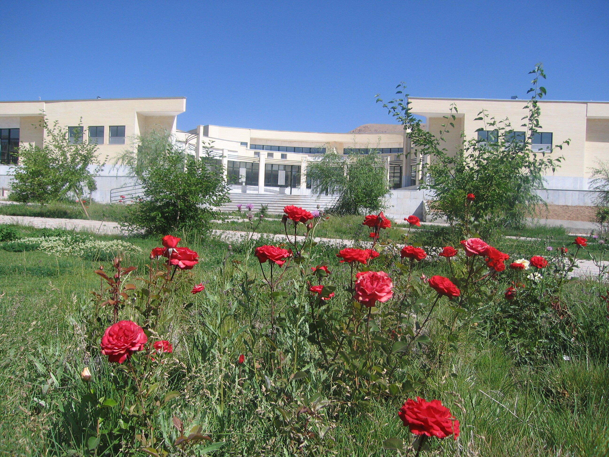 بانک سلولی جامع و استاندارد راهاندازی میشود/ حرکت فناوران در مسیر حوزه نوین بیوتکنولوژی بانک سلولی جامع و استاندارد راهاندازی میشود/ حرکت فناوران در مسیر حوزه نوین بیوتکنولوژی