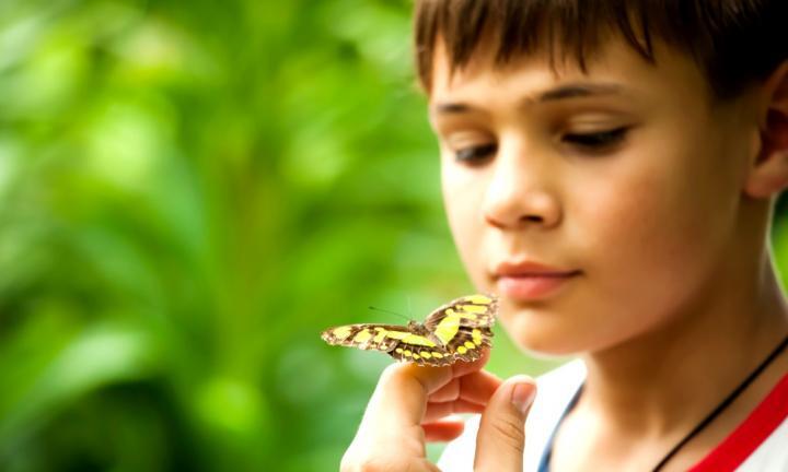 ابن سبعین و آرامش ابن سبعین و آرامش