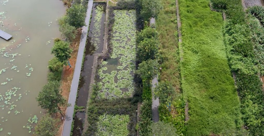 پنج فناوری قابل اجرا در مبارزه با سیل، کدامند؟ پنج فناوری قابل اجرا در مبارزه با سیل، کدامند؟