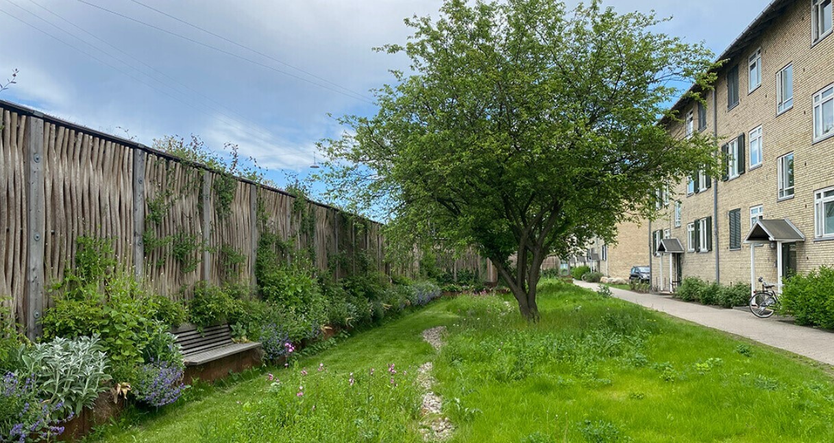 پنج فناوری قابل اجرا در مبارزه با سیل، کدامند؟ پنج فناوری قابل اجرا در مبارزه با سیل، کدامند؟