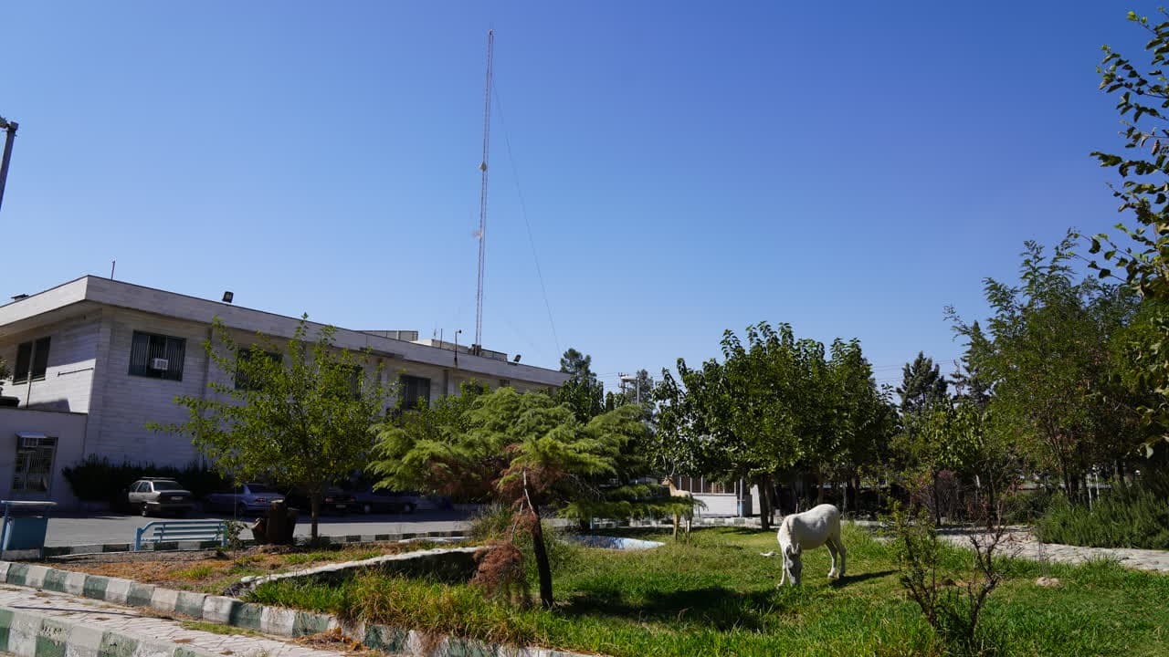 «سرای نوآوری» حلقه وصل دانشگاه و صنعت/ واحد‌های فناور علوم دامپزشکی پذیرش می‌شوند