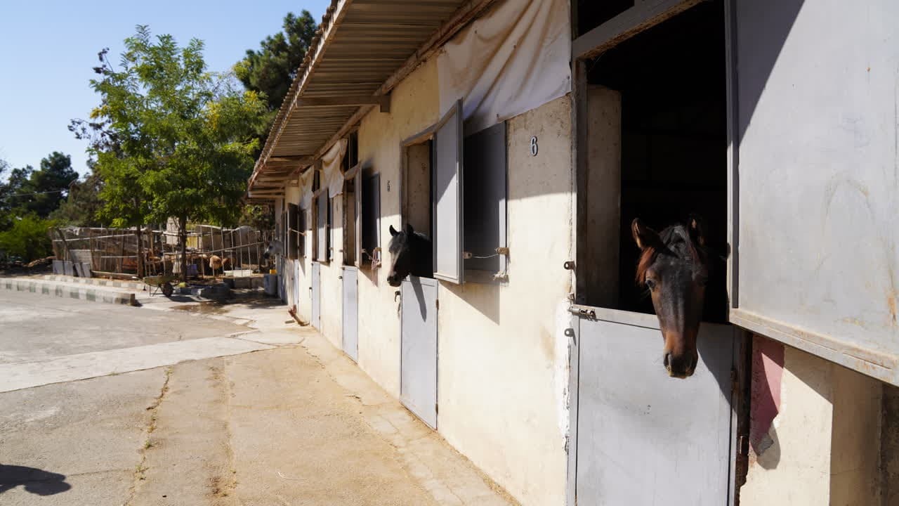 «سرای نوآوری» حلقه وصل دانشگاه و صنعت/ واحد‌های فناور علوم دامپزشکی پذیرش می‌شوند