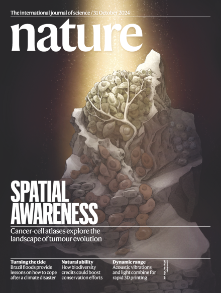 هفته چهارم اکتبر/ از «انسانهای خردمند» تا «اطلس تومورهای انسان» هفته چهارم اکتبر/ از «انسانهای خردمند» تا «اطلس تومورهای انسان»