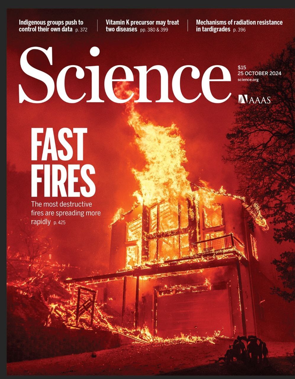 هفته چهارم اکتبر/ از «انسانهای خردمند» تا «اطلس تومورهای انسان» هفته چهارم اکتبر/ از «انسانهای خردمند» تا «اطلس تومورهای انسان»