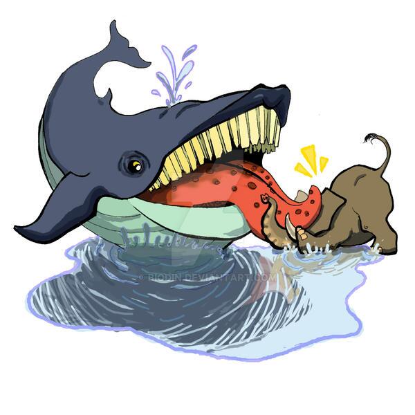 زبان نهنگ آبی بزرگ‌ترین جاندار جهان نزدیک به ۳ تن وزن دارد!