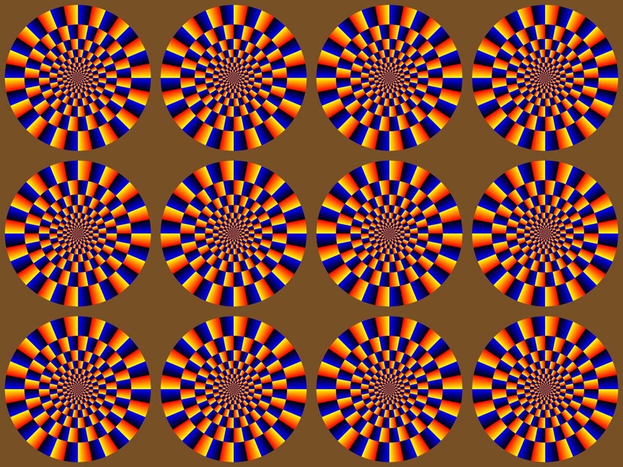 خطای دید چطور مغز را فریب میدهد؟ خطای دید چطور مغز را فریب میدهد؟