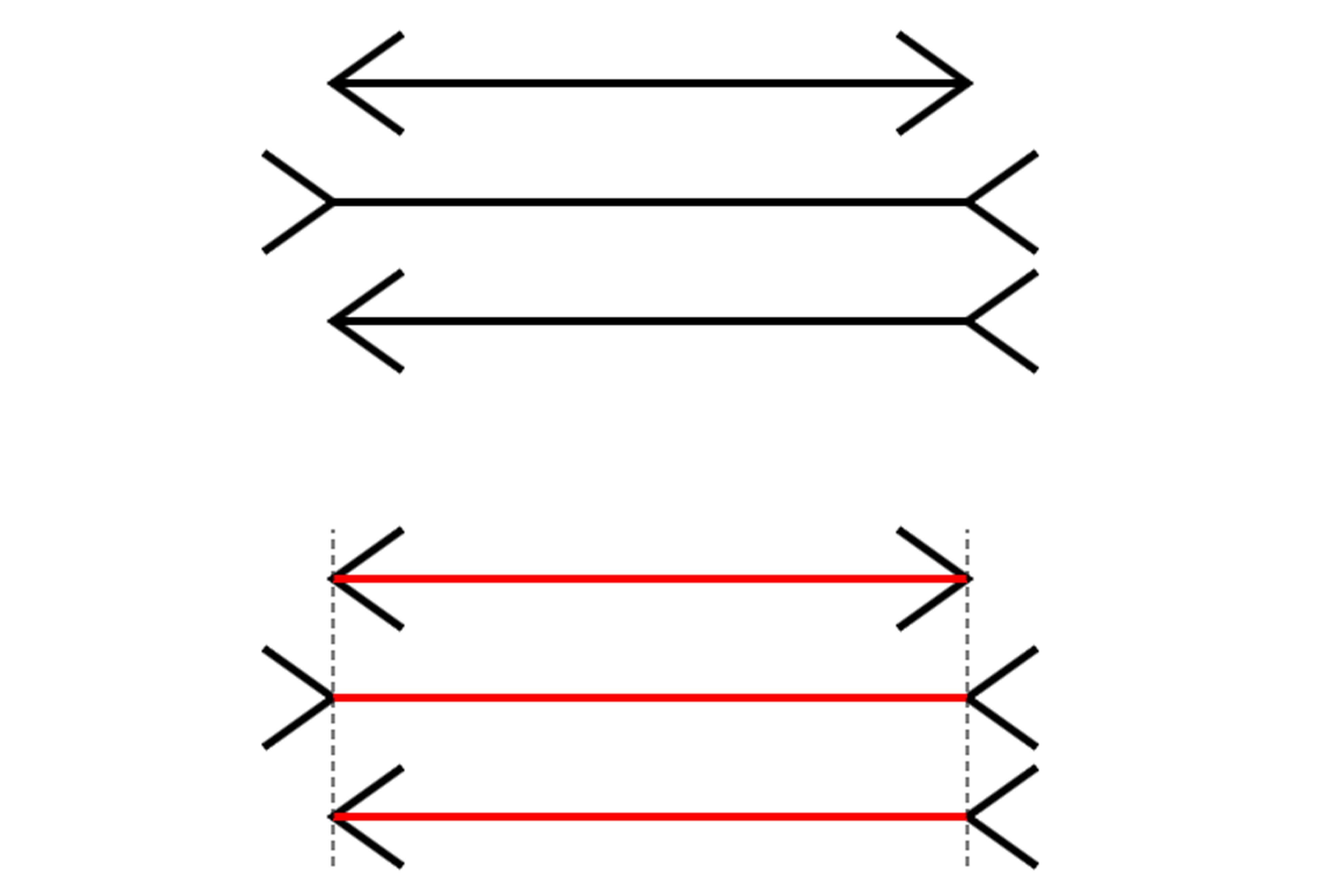 خطای دید چطور مغز را فریب می‌دهد؟