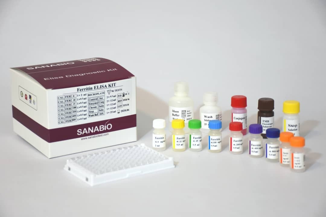 تولید کیت تعیین مقدار برداشت هورمونهای تیروئیدی انسانی تولید کیت تعیین مقدار برداشت هورمونهای تیروئیدی انسانی