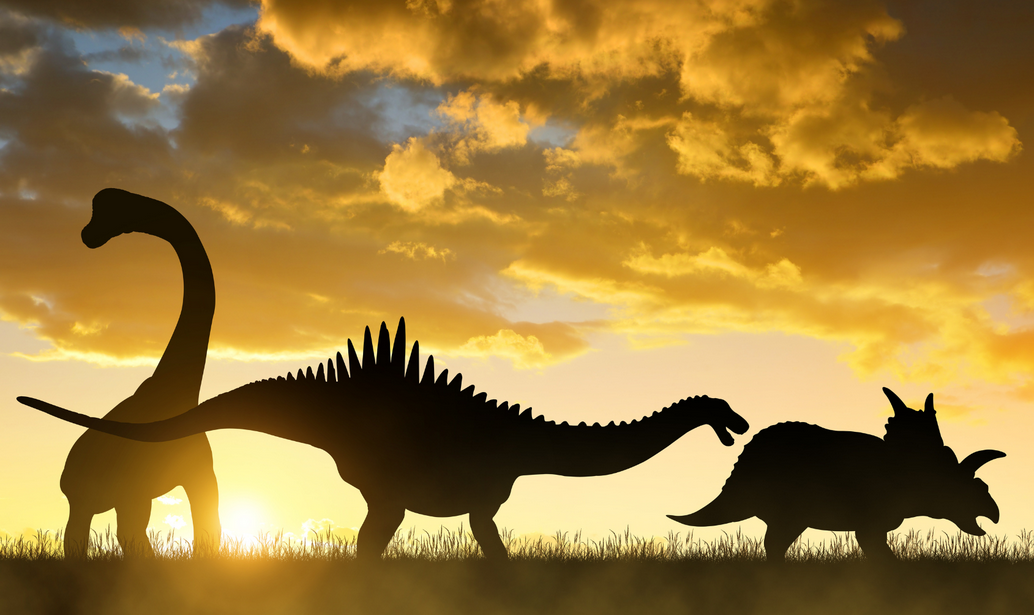 رازهای دایناسورها؛ اکتشافات جدید از زندگی دایناسورها به ما چه می‌گوید؟