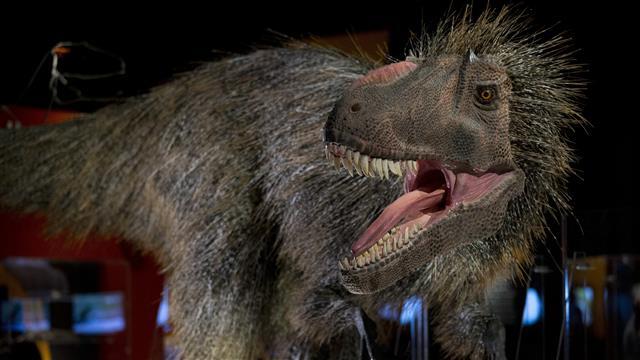 رازهای دایناسورها؛ اکتشافات جدید از زندگی دایناسورها به ما چه میگوید؟ رازهای دایناسورها؛ اکتشافات جدید از زندگی دایناسورها به ما چه میگوید؟