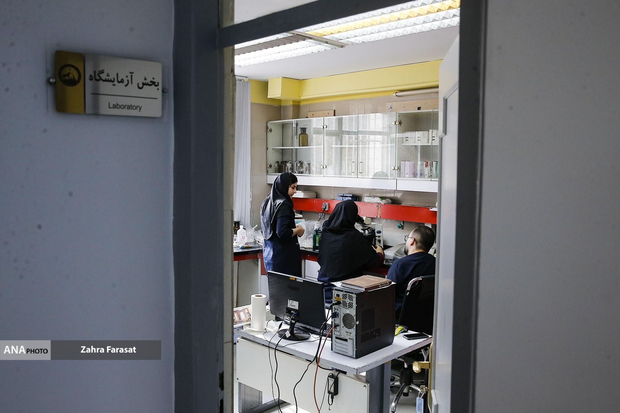 بانک خون حیوانات خانگی اقدامی جدید در بیمارستان دامپزشکی دانش/تکمیل نیست بانک خون حیوانات خانگی اقدامی جدید در بیمارستان دامپزشکی دانش/تکمیل نیست