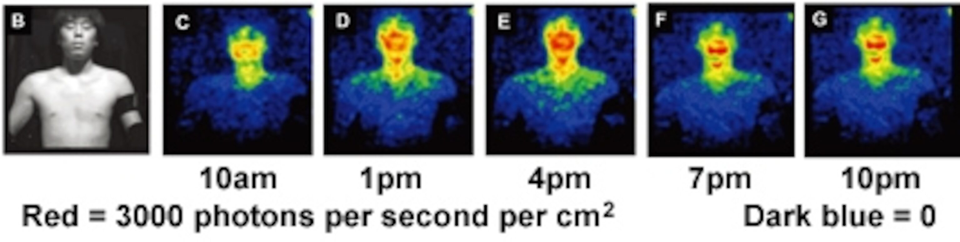 بدن انسان نور تولید میکند اما با چشم غیرمسلح آن را نمیبینید! بدن انسان نور تولید میکند اما با چشم غیرمسلح آن را نمیبینید!