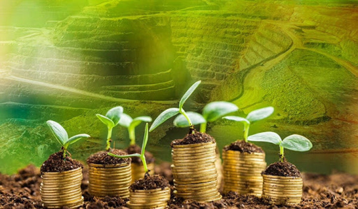 دانش بنیانهای کشاورزی باید دو برابر شوند دانش بنیانهای کشاورزی باید دو برابر شوند