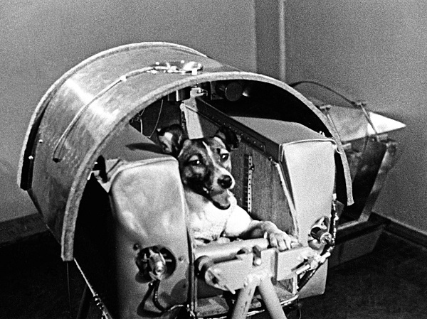 ۱۳ آبان در دنیای علم چه خبر؟ ۱۳ آبان در دنیای علم چه خبر؟