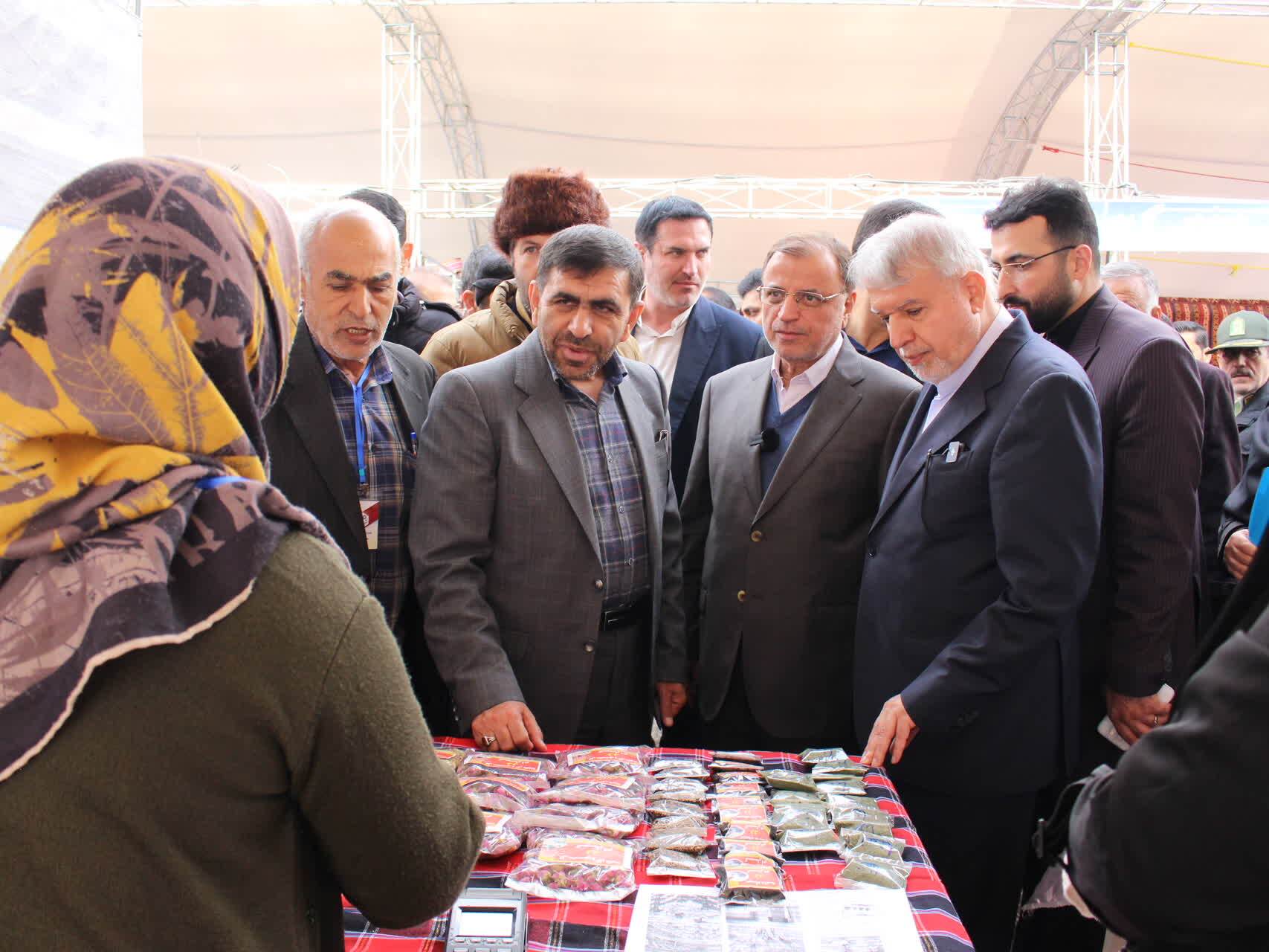 موتور خلّاقیت در جامعه نخبگانی روشن نیست/لزوم فرآوری زعفران در کوهستان‌های گالیکش و مینودشت