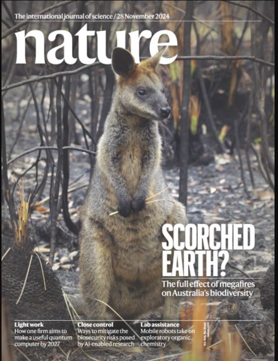 هفته چهارم نوامبر/ از «غذاهای جهانی» تا «فناوریهای نوین در حوزه مغز!» هفته چهارم نوامبر/ از «غذاهای جهانی» تا «فناوریهای نوین در حوزه مغز!»