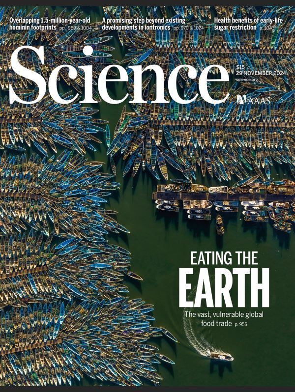 هفته چهارم نوامبر/ از «غذاهای جهانی» تا «فناوریهای نوین در حوزه مغز!» هفته چهارم نوامبر/ از «غذاهای جهانی» تا «فناوریهای نوین در حوزه مغز!»